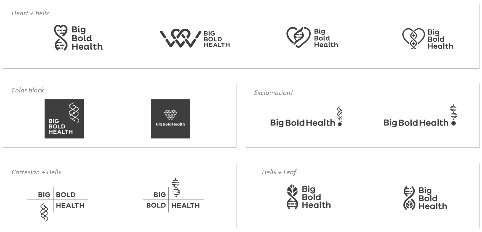 Five design concepts with twelve iterations for possible logos.